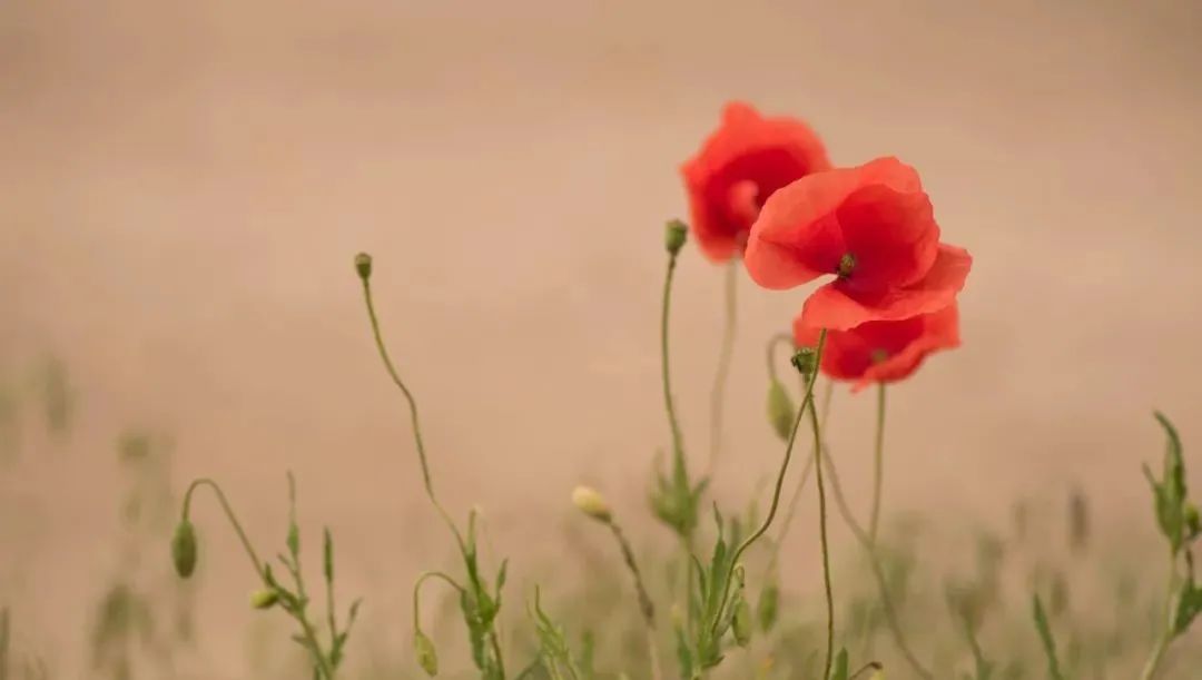 浦筱雯医生怎么样,浦筱雯