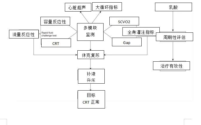 休克的复苏：关注大循环和微循环之间的偶联