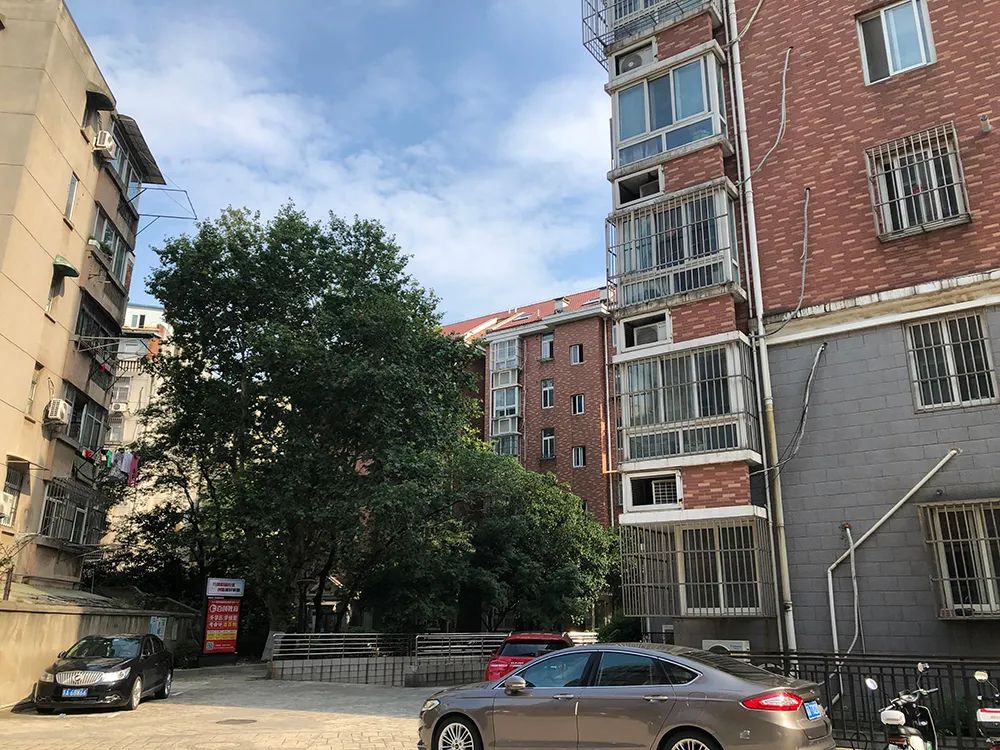 惊！南京三线“草小”成功逆袭，业主膨胀却不被认可，真相...