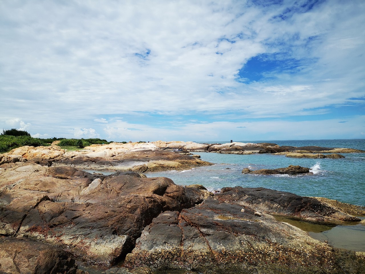 游姿优美的观赏鱼,木兰花乡风景区钓鱼