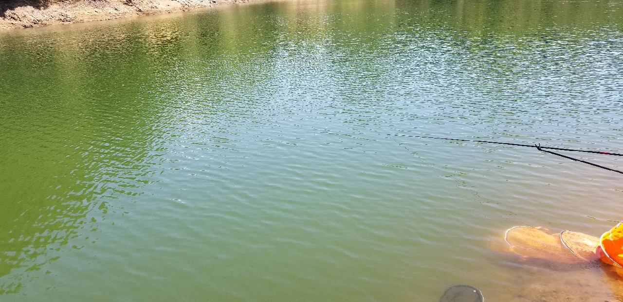 鱼没钓到还把诱饵吃了,鱼没钓到雨还下大了