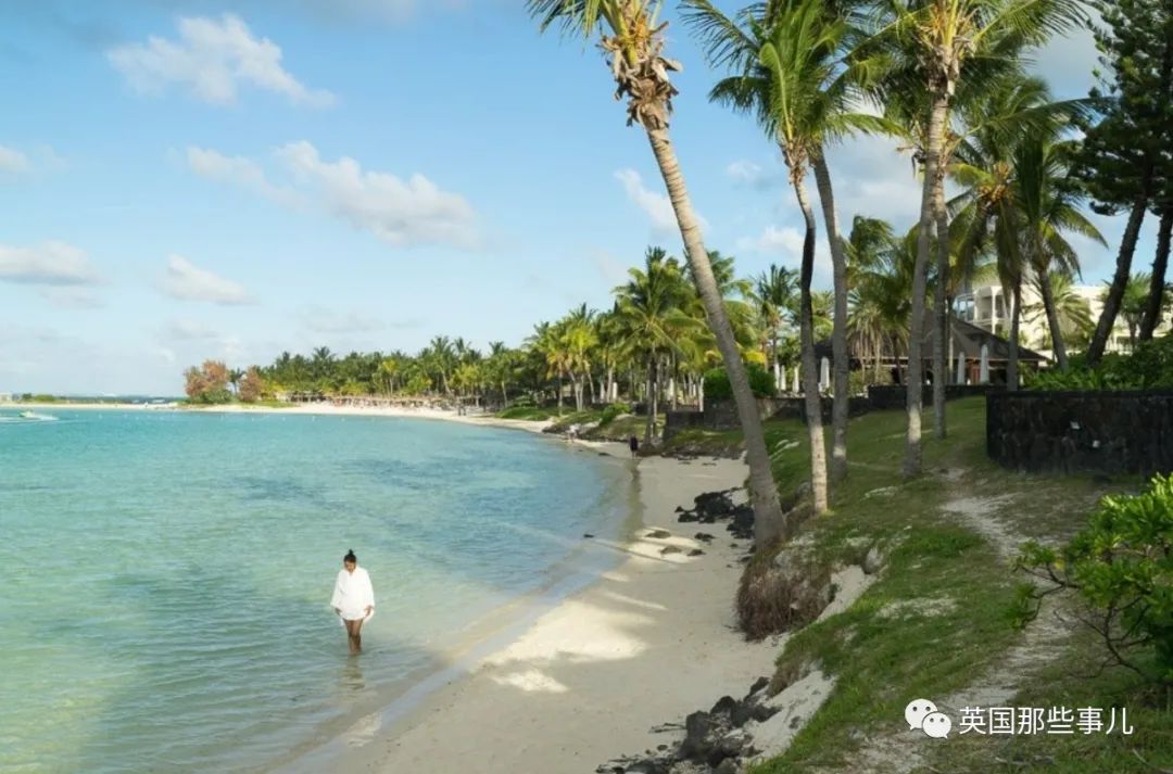 断了!这场几乎毁掉毛里求斯天堂海岸的船难,居然是有人想靠岸连WiFi?