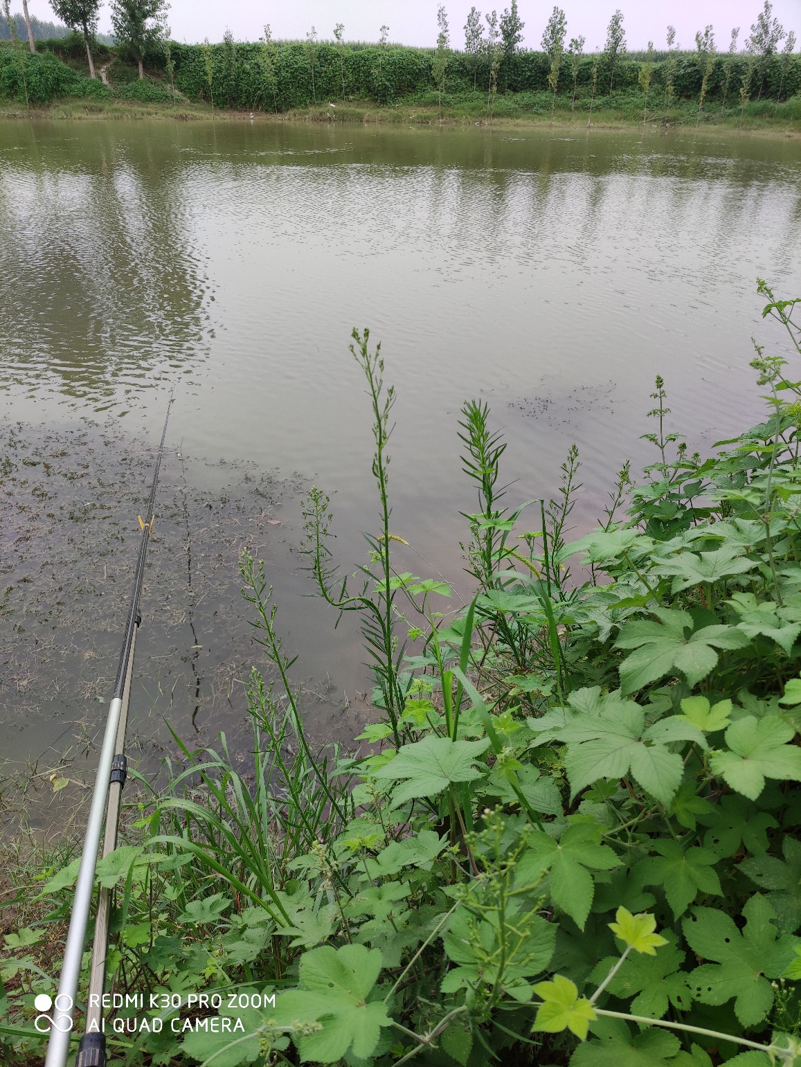 调钓如何快速掌握鱼钩的重量,钓鱼怎么可以增加鱼钩的粘钩性