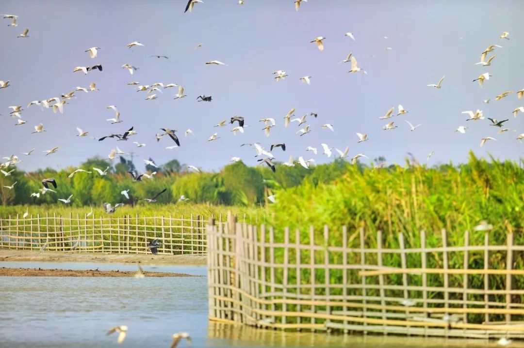 宁波横街网红打卡景点,宁波创意园网红打卡地点
