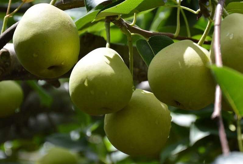 鎻翠紒绋冲矖,鎻翠紒绋冲矖淇濈敤宸ョ湡鎯呯浉鍔╀績灏变笟