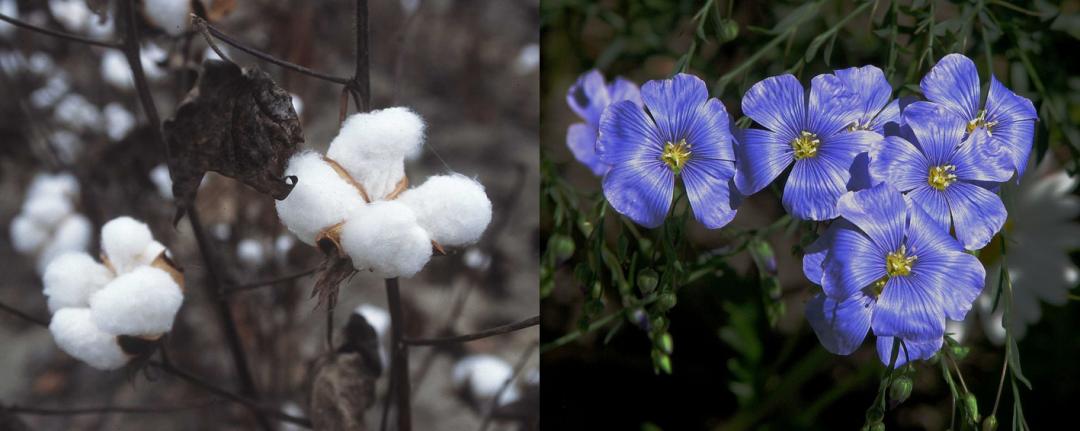 衣服总是皱巴巴的,衣服为啥老是很皱发黄