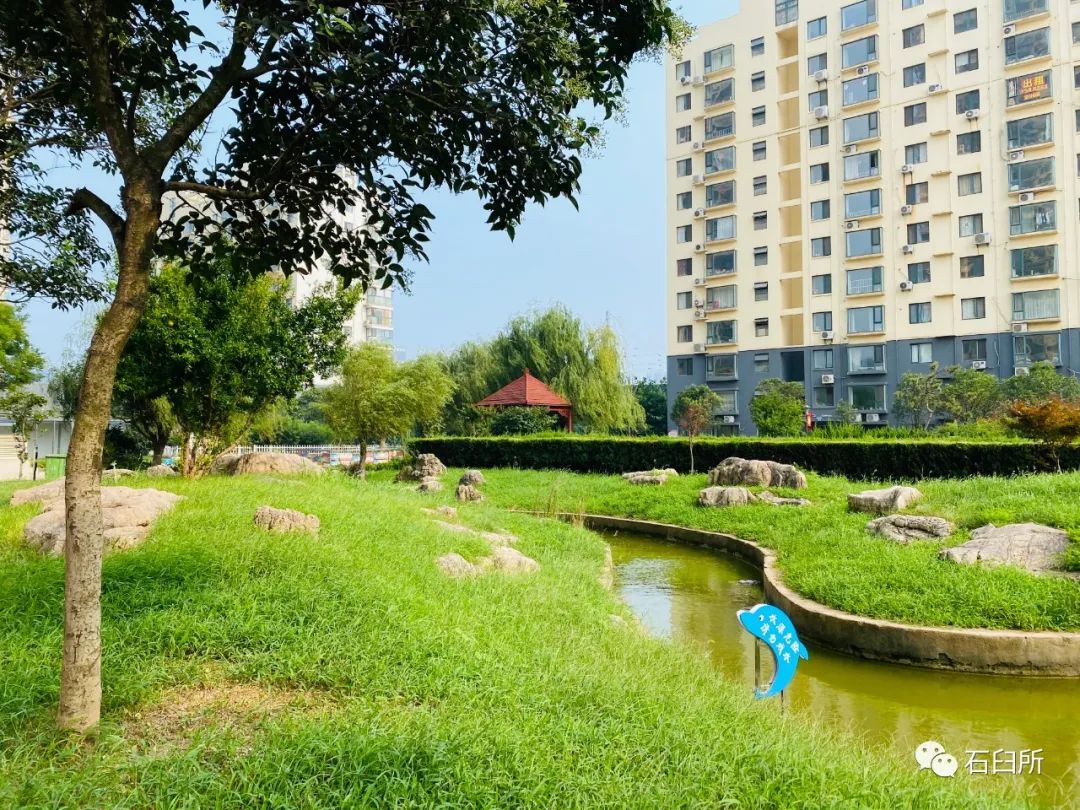 精雕细琢玉石魅力,精雕细琢完美呈现