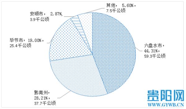 贵州刺梨苗子出售,贵州特产刺梨一箱价格