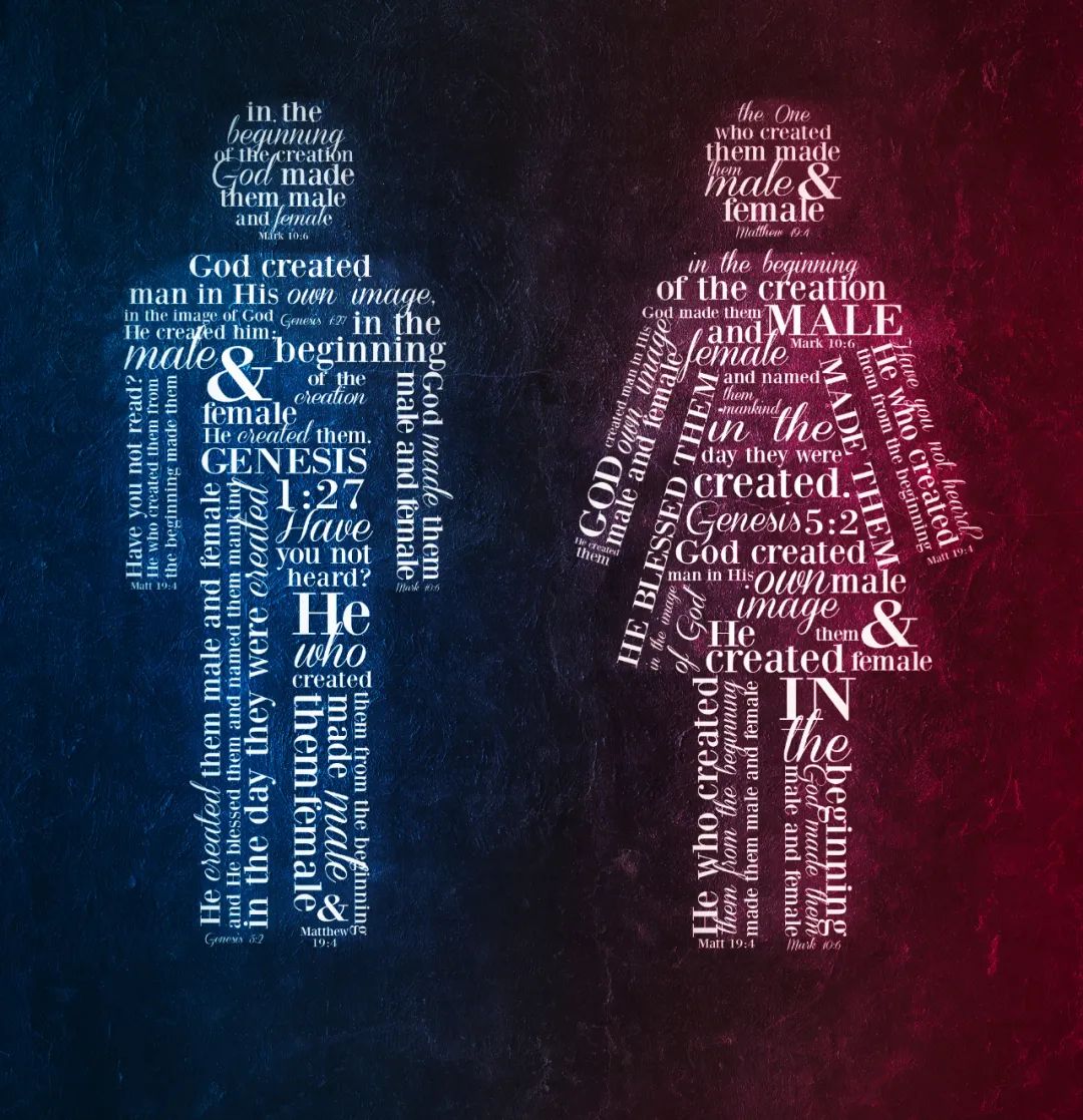 七夕舔狗视频,七夕舔狗经济崩盘