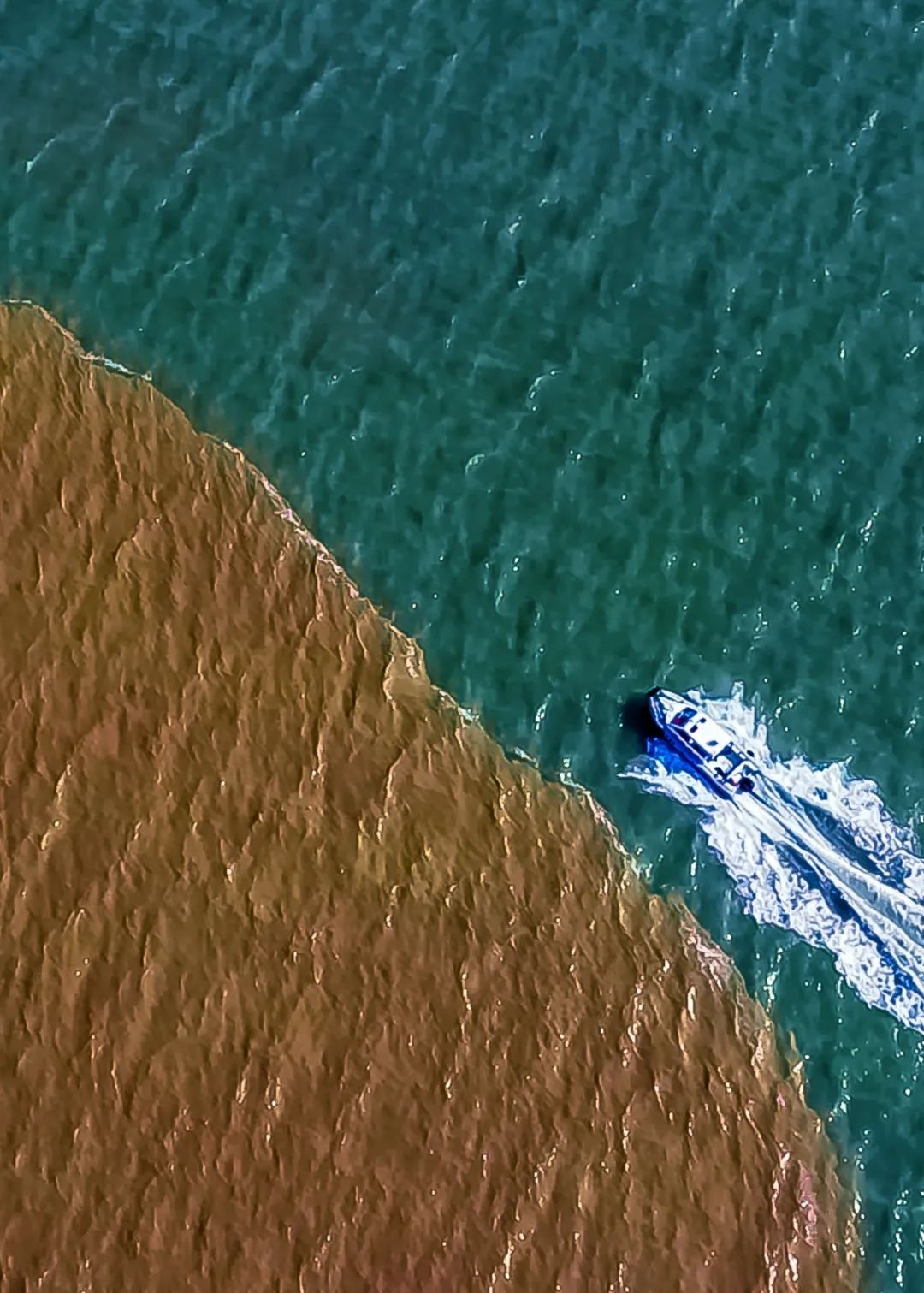 买遍中国“做客”山东！啥叫“好客”，看这份好物清单→