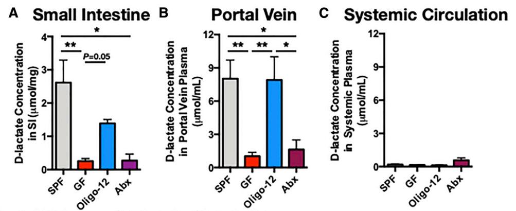 《细胞》子刊：肝脏给血液杀菌竟然靠肠菌帮忙！科学家发现肠菌释放的D-乳酸，可以帮助肝脏细胞清除血液中病原体丨科学大发现
