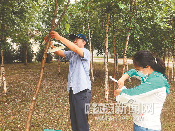 让城市绿化成果更好惠及群众,城市绿化与绿水青山就是金山银山