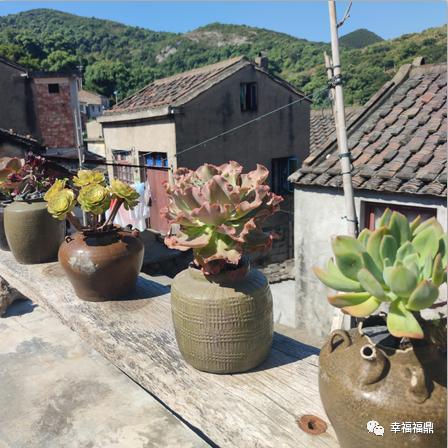 普陀山网红海景民宿推荐,普陀山岛上民宿客栈推荐