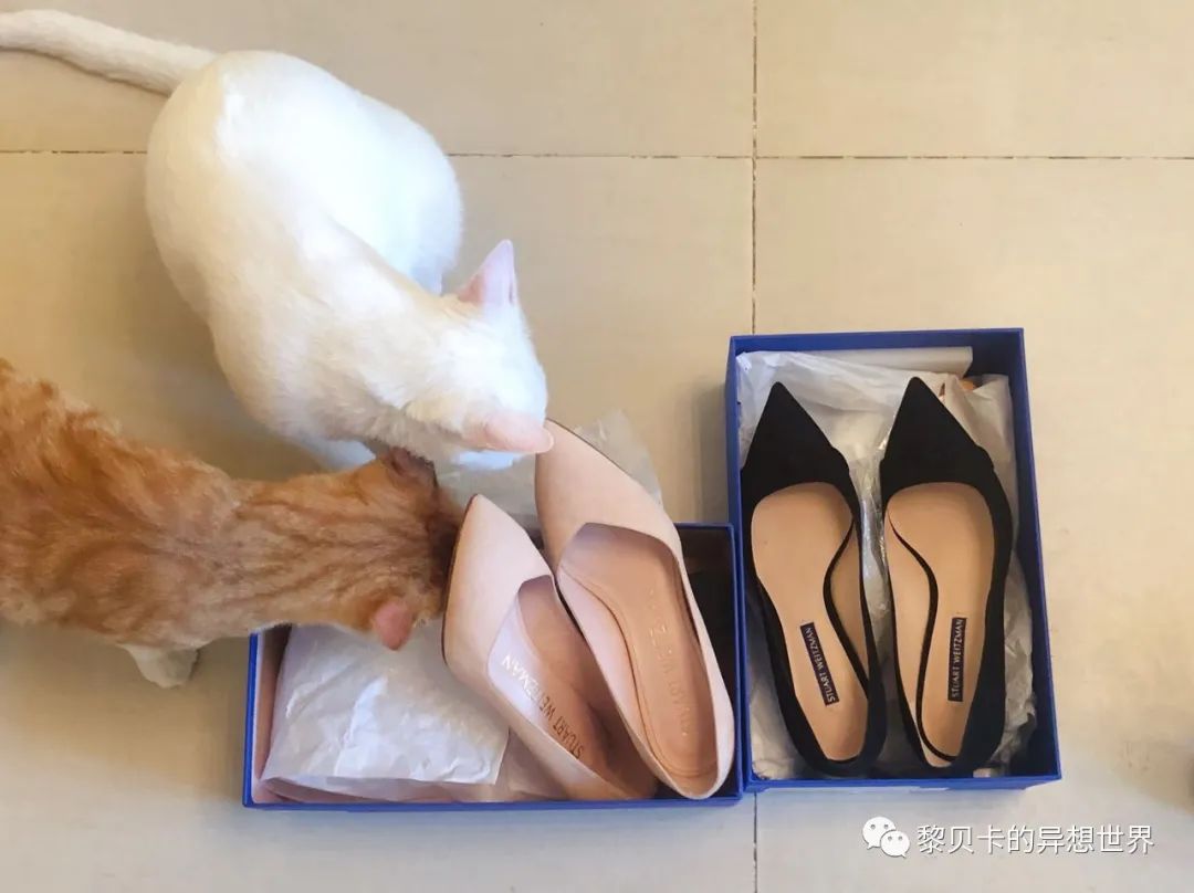 贝壳休闲高跟鞋,贝壳高跟鞋