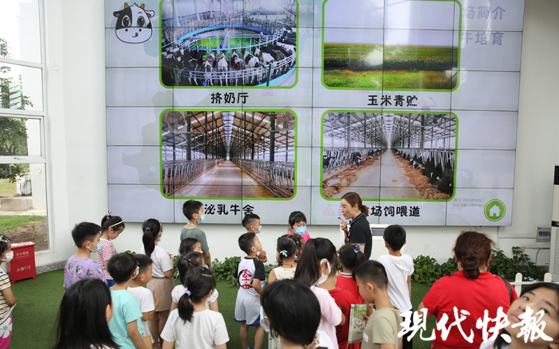 见证一滴奶的奇妙旅程！快报小记者走进卫岗一起“涨姿势”