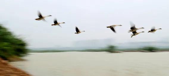 风雅钱塘江景,风雅美景图片高清