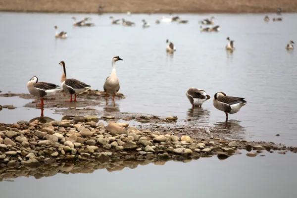 风雅钱塘江景,风雅美景图片高清