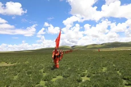 *藏西**那曲|苍翠成“云杉”一样的尖刀