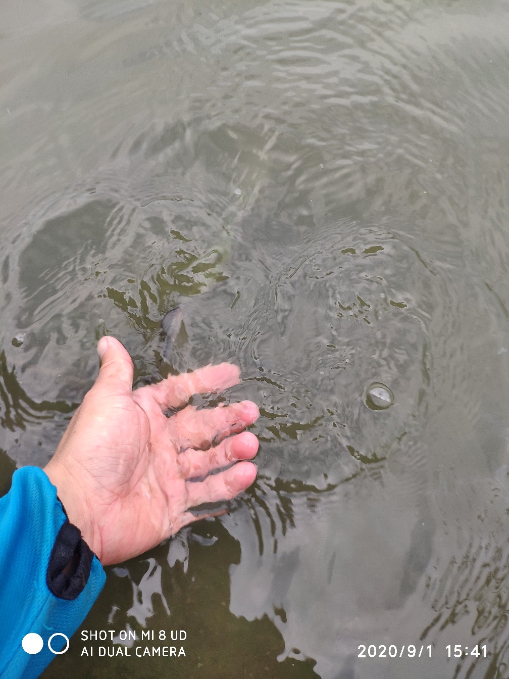 路亚铅头钩实用操作手法,路亚铅头钩零基础教学