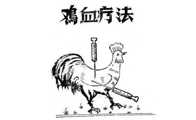 打鸡血原来真有其事，刷新认知