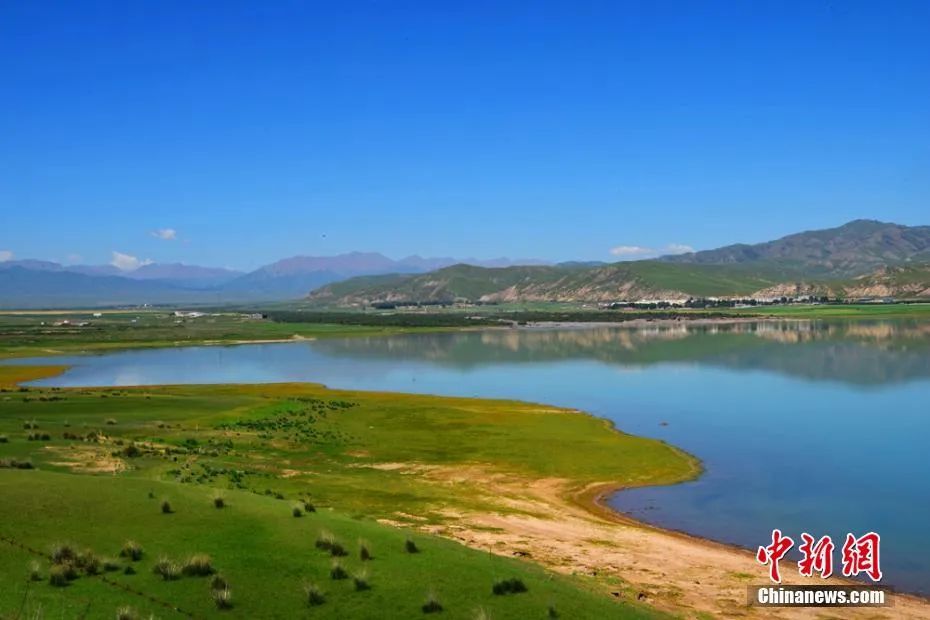 今日白露完整版歌,今日白露美句美文