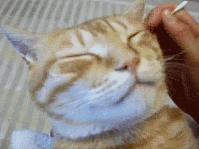 男子掏耳朵掏出黑色虫子,小伙掏耳朵掏出大秘密