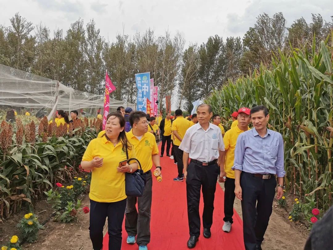 内蒙古中农现代农业科技,内蒙古中农种业科技有限公司