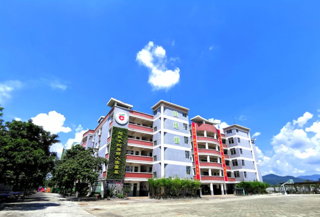 增城中新有什么比较好的学校,增城有什么好中学