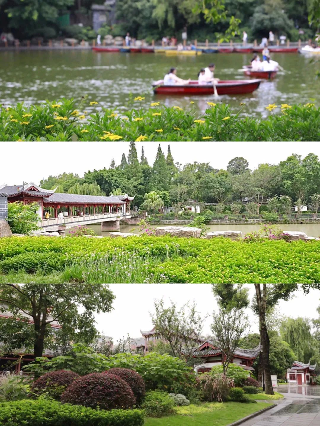 成都青羊值得去的地方,成都青羊区旅游景区推荐