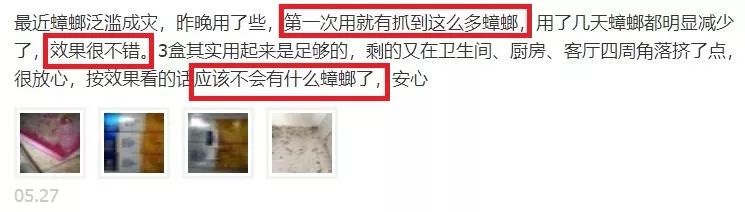 让蟑螂来一只死一窝的方法,蟑螂克星蟑螂窝