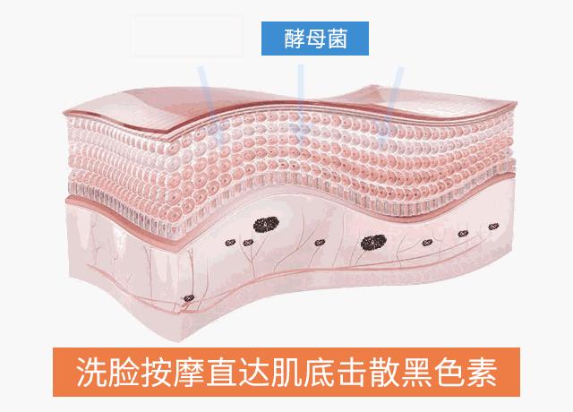 日本人用酒洗脸，60岁还没有皱纹，黑头粉刺全消失，整张脸白皙光滑，细腻弹润