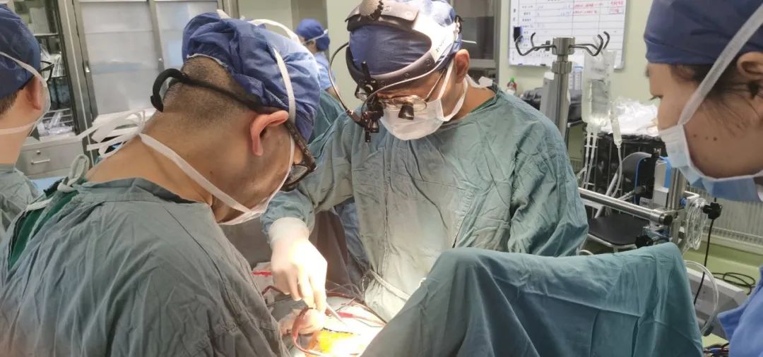 鲁亚南ko集锦,鲁亚南视频