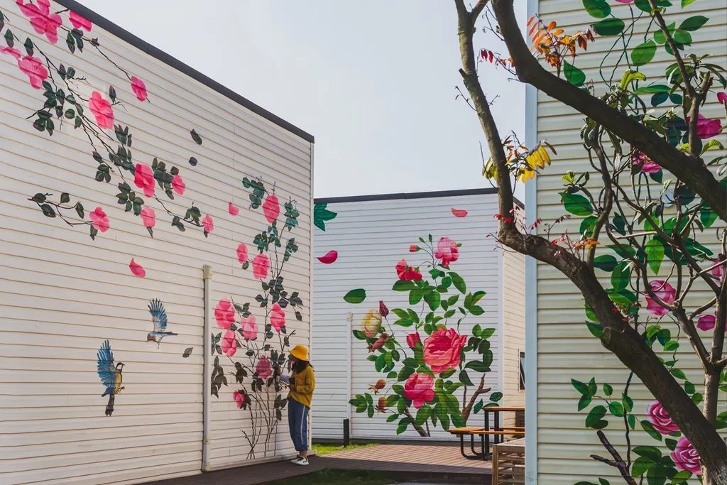 果实圆熟之秋,百万流量主播带你走进新津