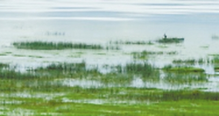 等你在黄河口,等你在草原原唱视频