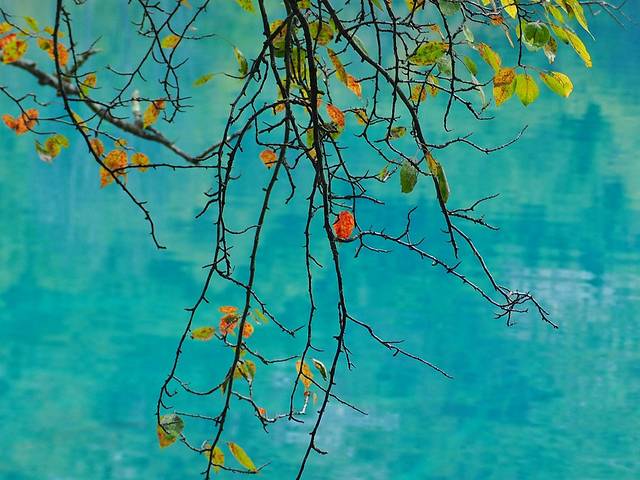 初秋，与神话九寨的浪漫之约