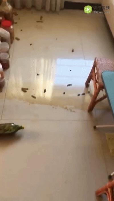 每天吃酵素会不会加速身体排毒,酵素真的没用吗