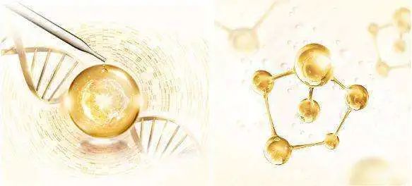 粉丝分享｜踏踏实实打好“肌”础真的有用