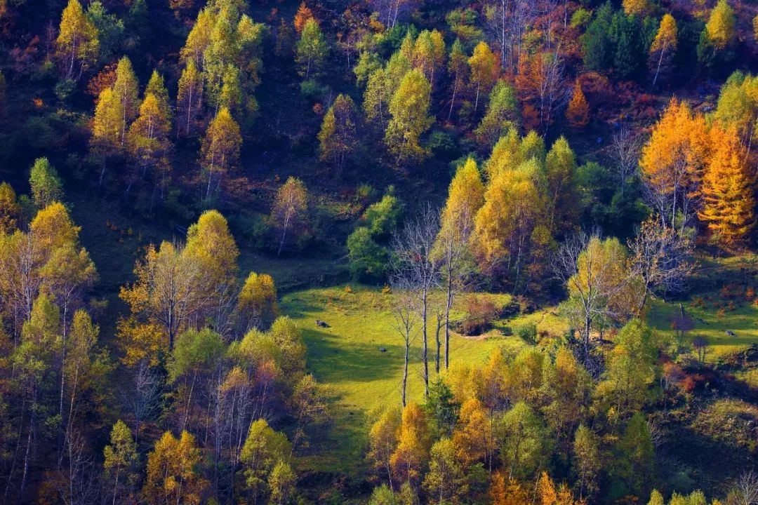 武都旅游景点大全,武都旅游线路