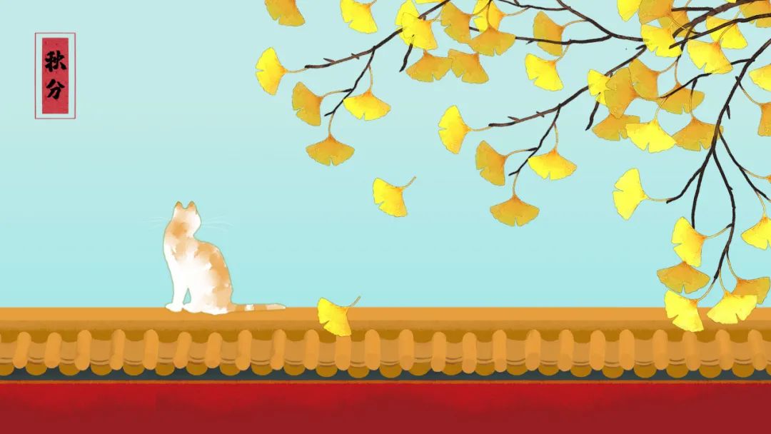 24节气秋分的小知识,关于秋分节气的常识