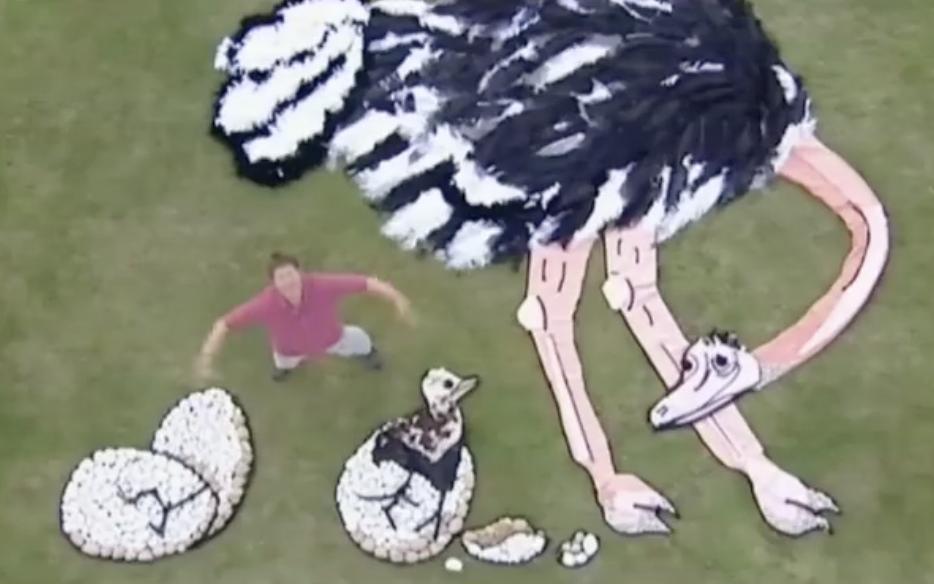 小神龙俱乐部里的艺术创想,童年小神龙俱乐部