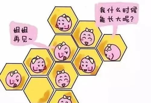 让你更有女人味,能让你变得更加有女人味的东西