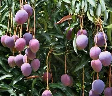 收藏！四川十二月月月hei惊艳