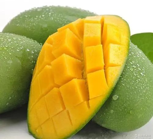 收藏！四川十二月月月hei惊艳