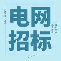 国网辽宁电力招标采购,国网电力23年物资招标中标公示