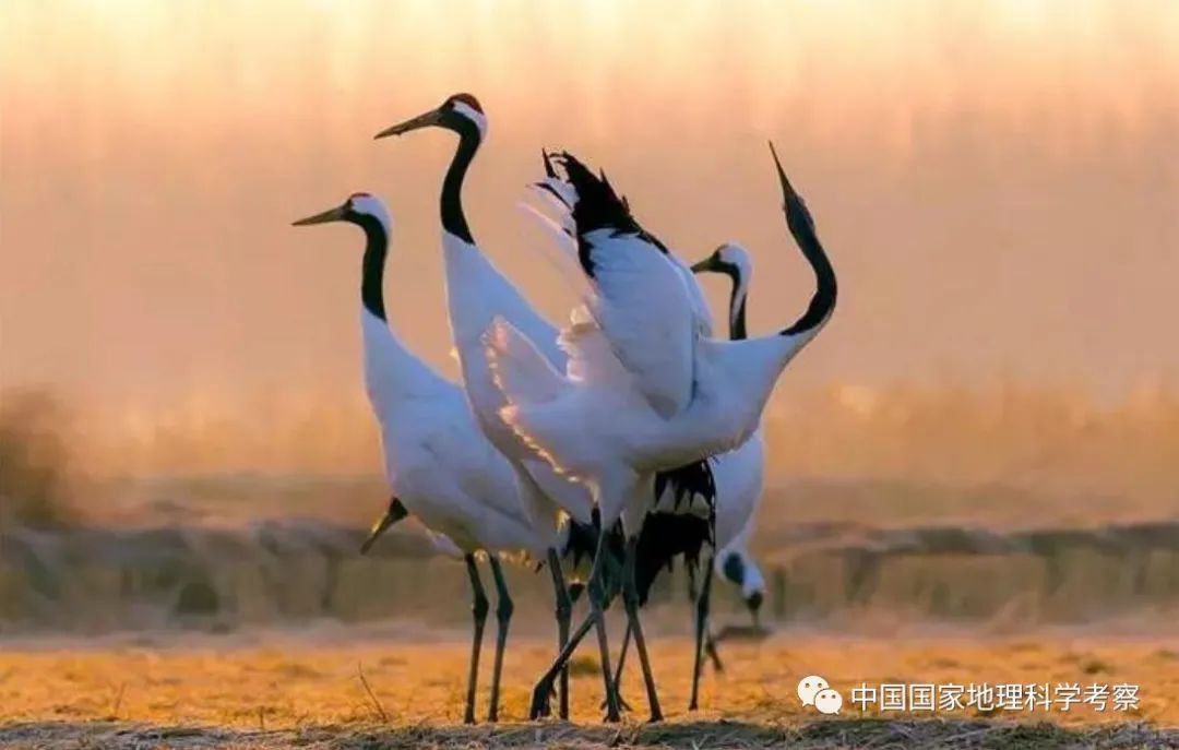 中国少年营新疆站报名,中国少年营报名