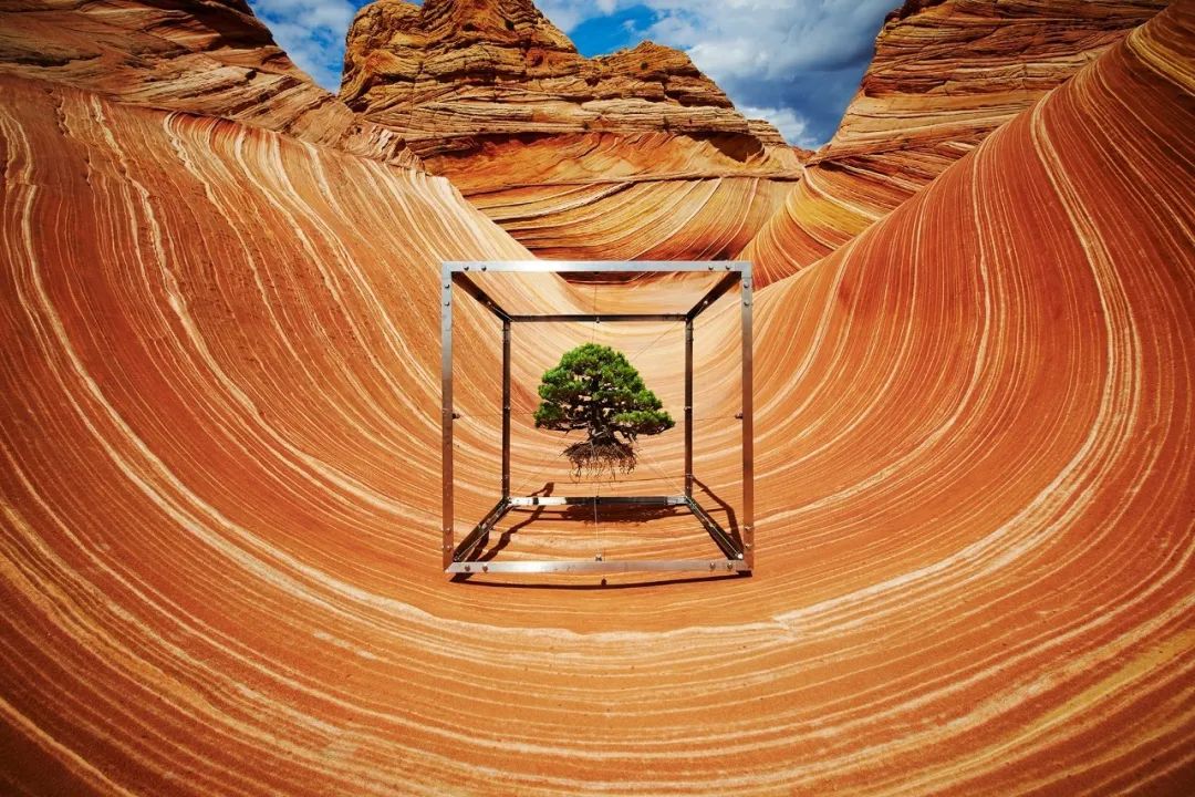 他是日本著名“花花公子”，拈花惹草只为极致的美