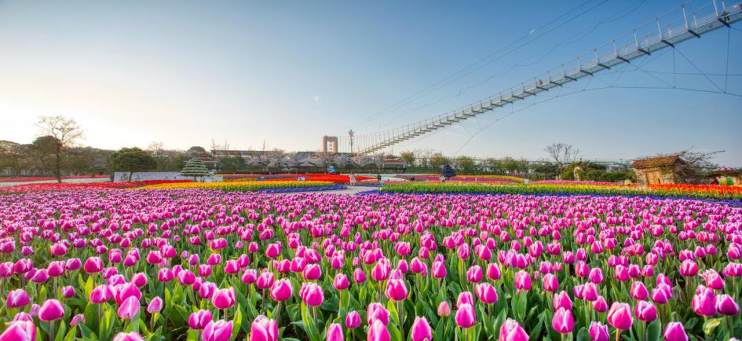 乡村旅游线路推荐,假期乡村旅游攻略