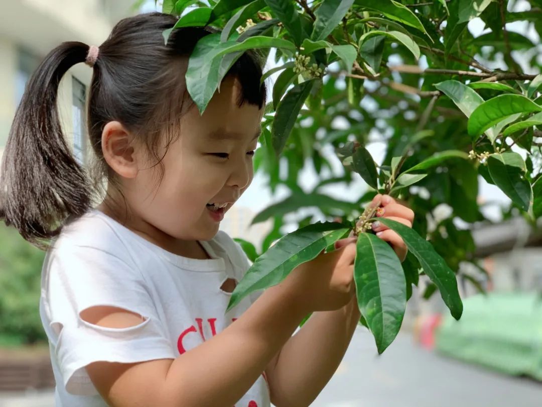 滨江多思创新学校,滨江学校全部排名