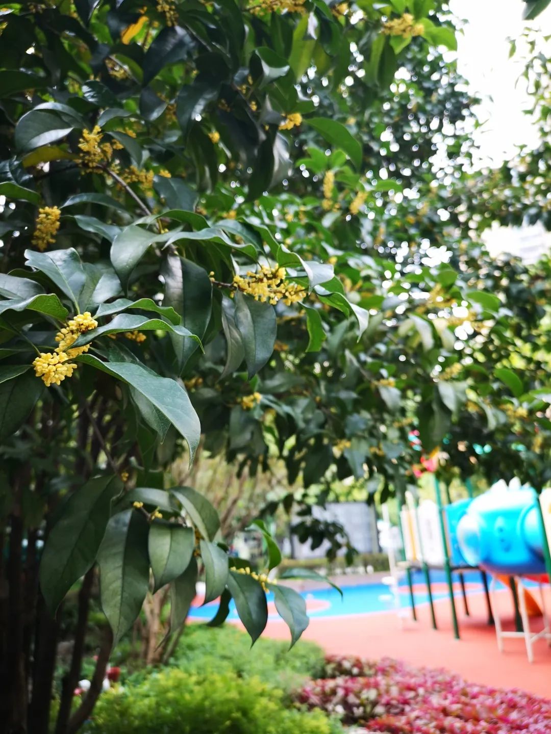 滨江多思创新学校,滨江学校全部排名