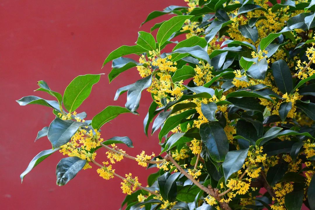 “实在太香了”阿姨差点窒息！医生：这病凶险，最近高发